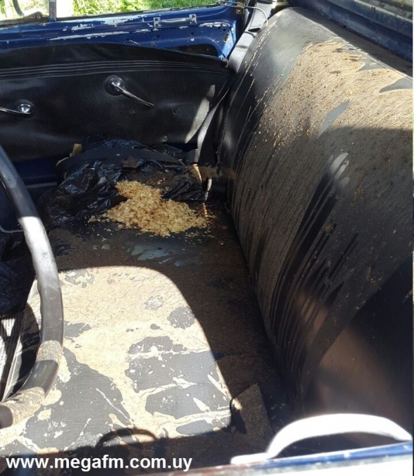 Atentaron con huevos y barro contra la camioneta de tr&aacute;nsito local 19/01/17