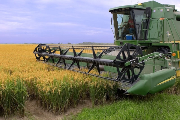 Unos 70 obreros al seguro de paro en Molino Arrozal 33 1/02/18