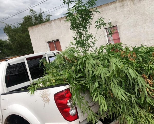 Cuatro personas condenadas en operativo realizado en Vergara y Charqueada 4/02/21