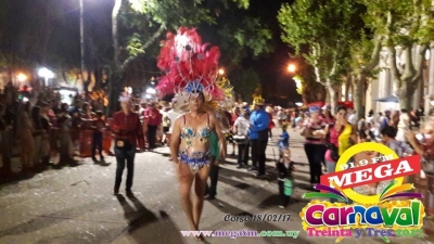Nación de luz Vergarense - Carnaval 2017 Vergara