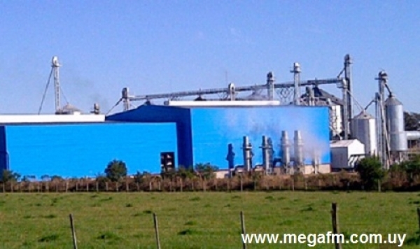 Molino Paso Drag&oacute;n necesita trabajador electricista 24/02/16