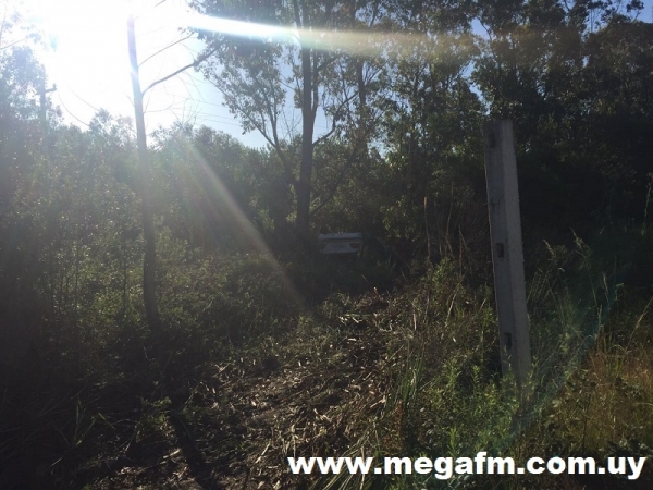 Volc&oacute; un auto en Ruta 17 Km. 336.500 17/12/16