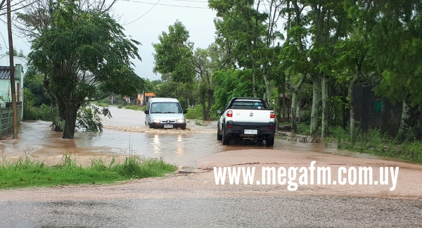 Varias calles cortadas en Vergara tras &uacute;ltimas precipitaciones 9/02/21