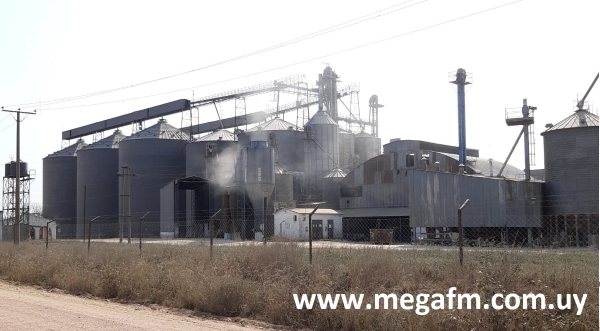 Arrozal 33 solicita tractorista y ch&oacute;fer de cami&oacute;n 1/09/21