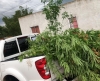 Cuatro personas condenadas en operativo realizado en Vergara y Charqueada 4/02/21