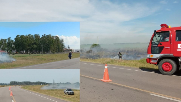 Bomberos de Vergara y Polic&iacute;a de Secc. 3ra. de Rinc&oacute;n trabajan en un incendio de campo en el kil&oacute;metro 365 de ruta 18 2/01/22