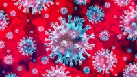 Se confirmaron 7 nuevos casos de Coronavirus en Treinta y Tres llegando a un total de 12 casos 4/05/20