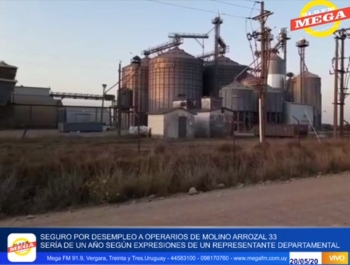 Seguro a operarios de Molino Arrozal 33 ser&iacute;a por un a&ntilde;o seg&uacute;n dirigente Departamental 20/05/20