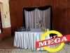 Fiesta despedida de a&ntilde;o equipo Mega FM 91.9 a&ntilde;o 2017